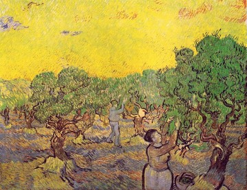オリーブの木立と摘み取りの人物 フィンセント・ファン・ゴッホ Oil Paintings